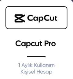 ChatGPT Pro
